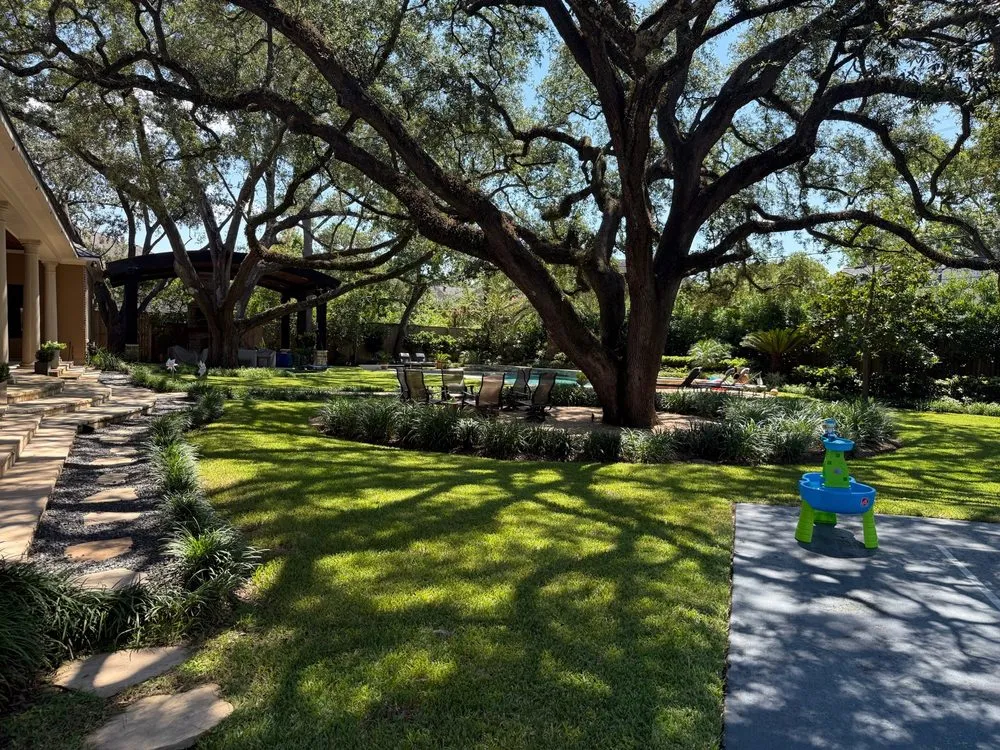 Local yard cleanup service in Houston, TX by DBL Outdoor Solutions