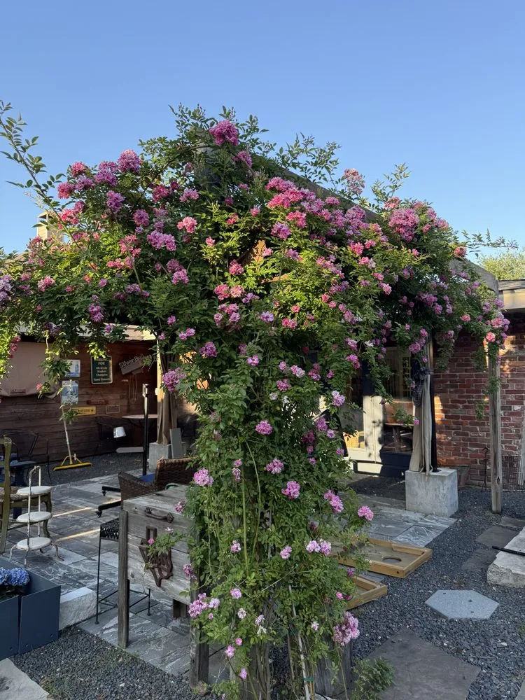 Custom residential landscaping for beautiful yards in Houston, TX by DBL Outdoor Solutions