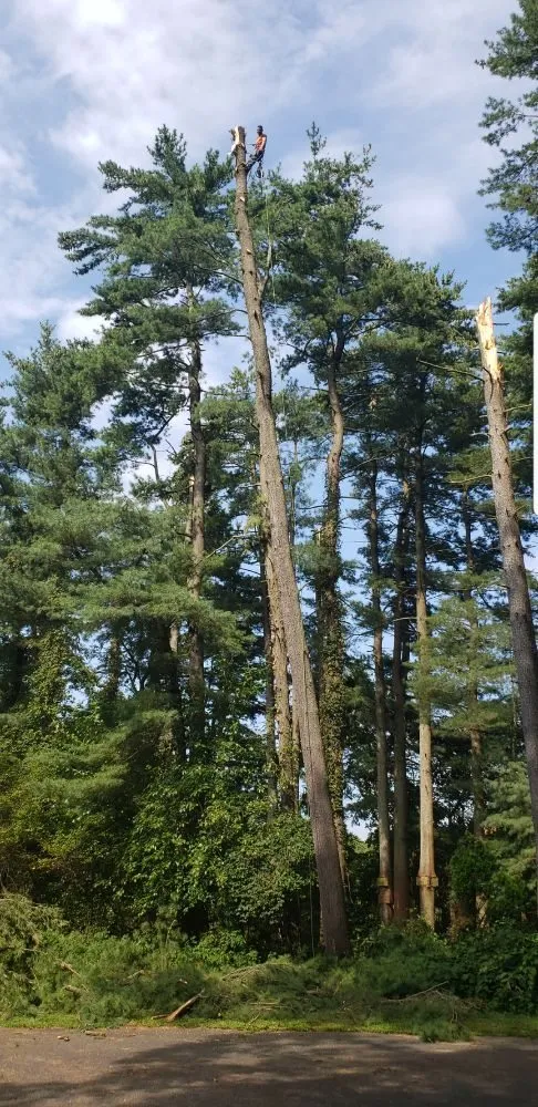 Top-rated outdoor landscaping for outdoor upgrades in Berlin, NJ by DBN Lawn Care