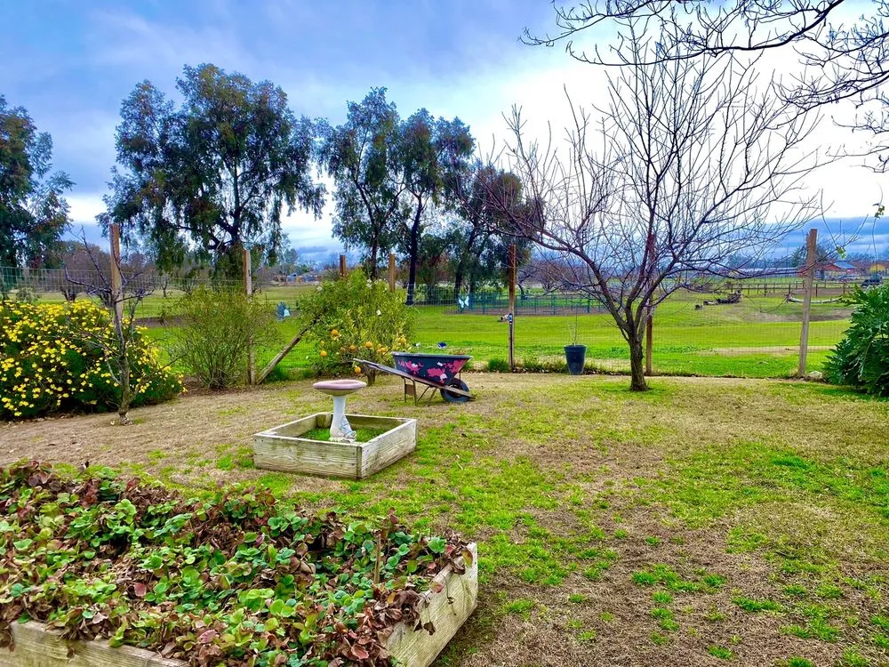 Top-rated landscaping services in Vacaville, CA by Dbros Landscaping