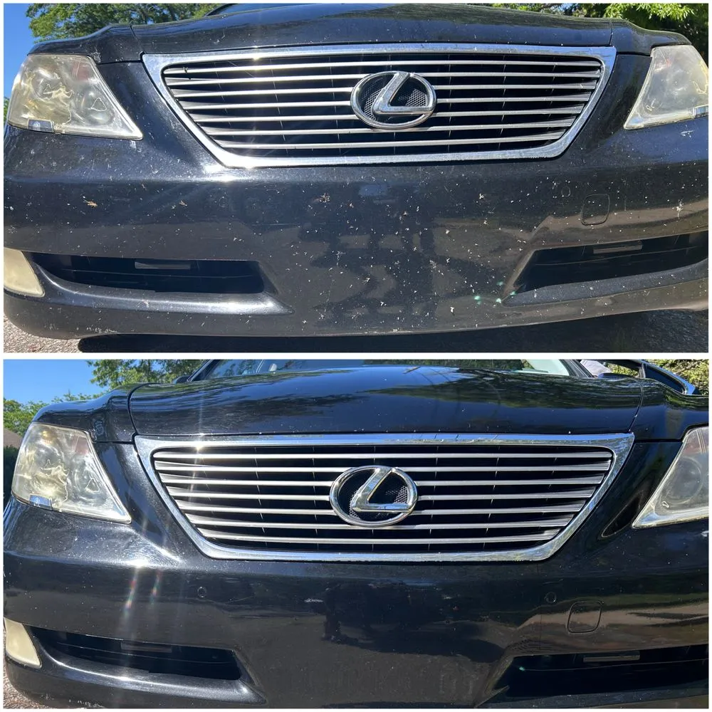 Top-rated landscape design in Greenwood, SC by DB’s Handy Services