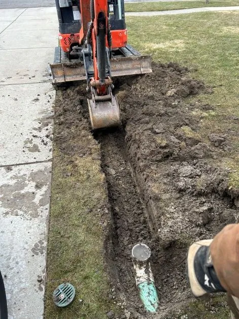 Expert lawn care service experts serving East Amherst, NY - DB's Landscaping and Lawn Care