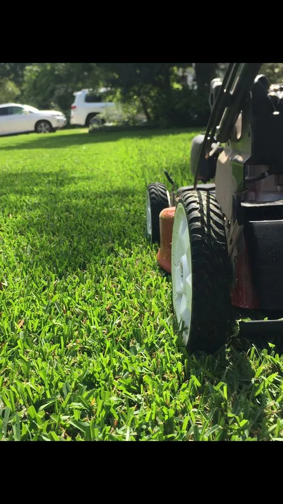 Top-rated outdoor landscaping for homes in Missouri City, TX by DB’s Landscaping Services