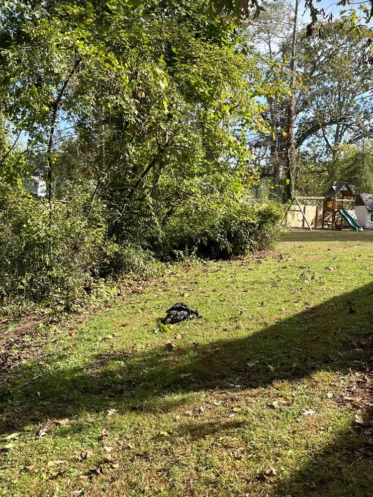 Trusted yard maintenance near you across Arden, NC - Db’s Landworks