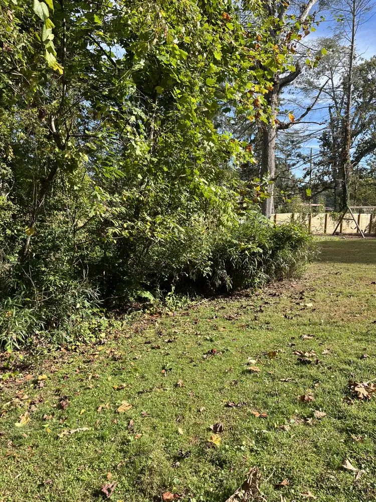 Local landscape installation for outdoor upgrades across Arden, NC - Db’s Landworks