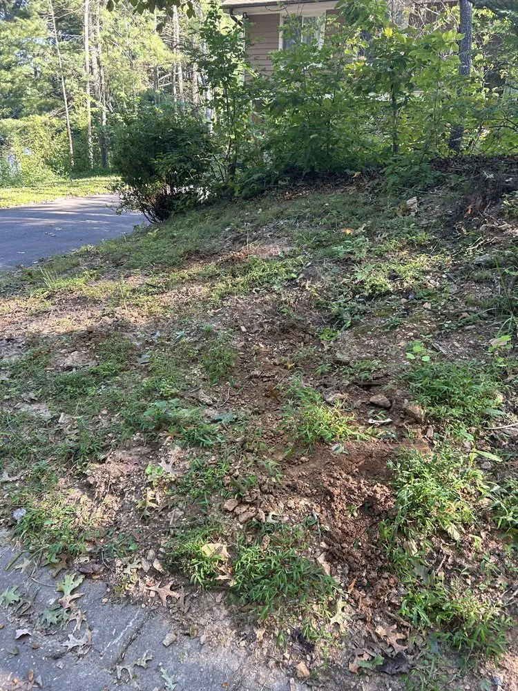 Reliable yard maintenance in Arden, NC by Db’s Landworks