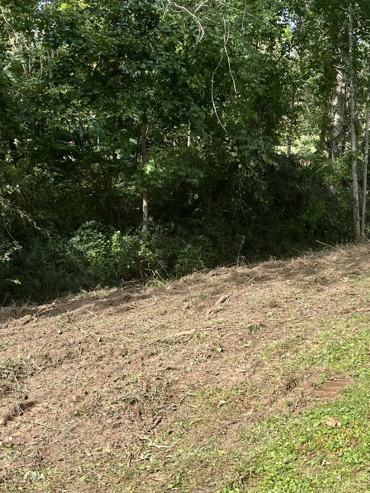 Professional residential landscaping near you in Arden, NC by Db’s Landworks