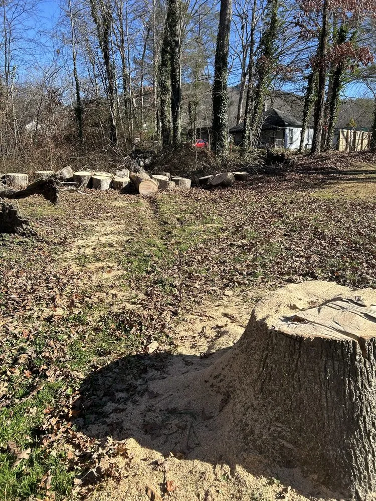 Trusted lawn care service in Arden, NC by Db’s Landworks