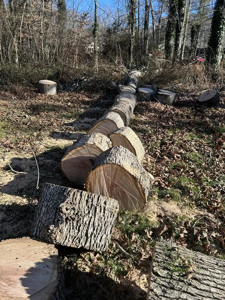 Local yard maintenance for beautiful yards across Arden, NC - Db’s Landworks