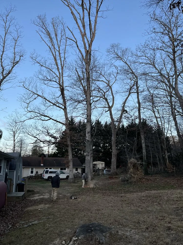 Local yard cleanup service for outdoor upgrades in Arden, NC by Db’s Landworks