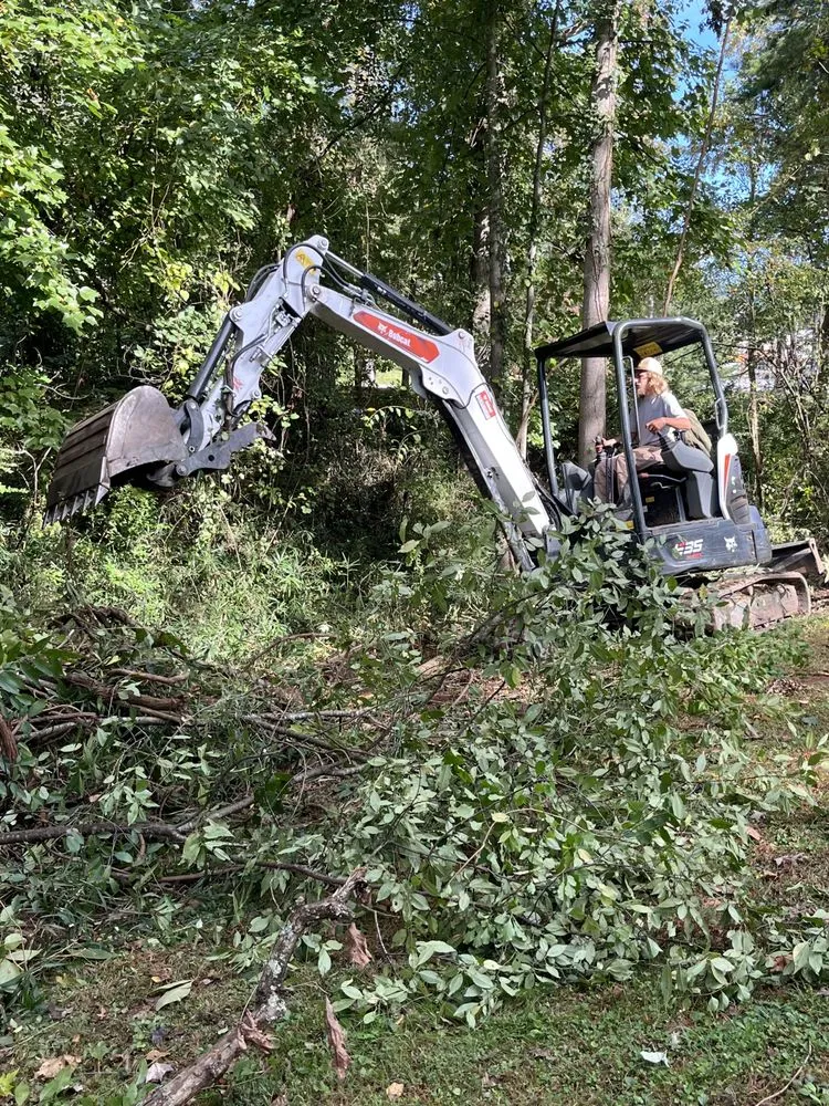 Local yard cleanup service experts serving Arden, NC - Db’s Landworks