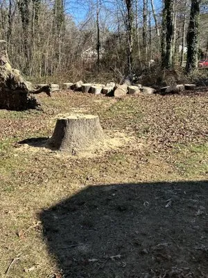 Db’s Landworks