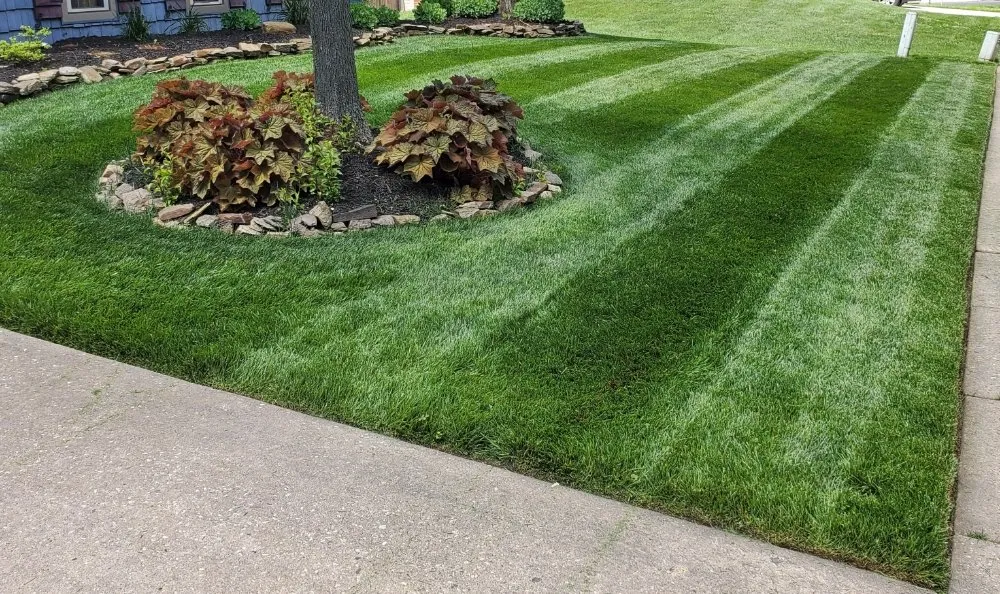 Professional residential landscaping in Eastampton Township, NJ - DBs Lawn Care