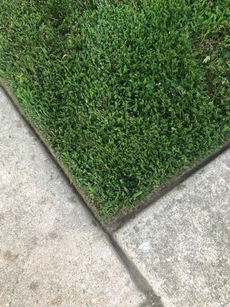 Trusted landscape design in Eastampton Township, NJ by DBs Lawn Care