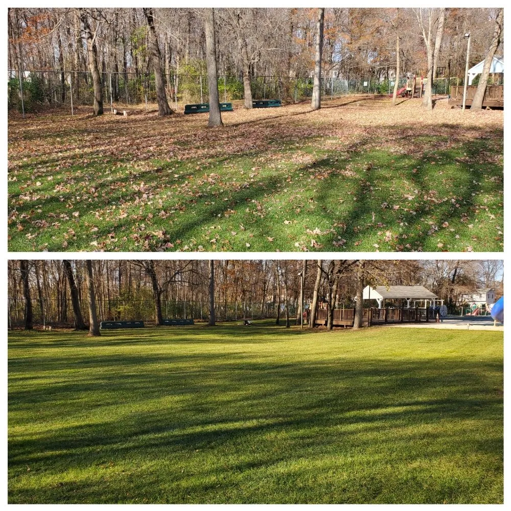 Affordable landscape installation in Eastampton Township, NJ - DBs Lawn Care