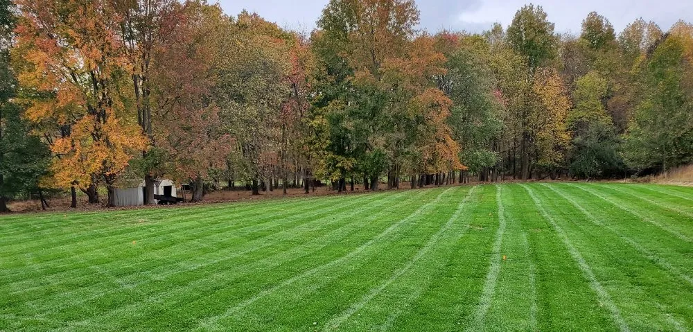 Professional lawn mowing service with custom design in Eastampton Township, NJ by DBs Lawn Care