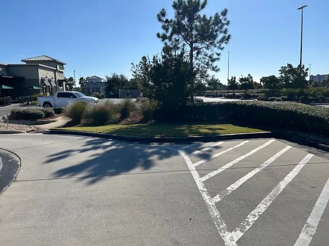 Affordable lawn care service for year-round maintenance across Youngstown, FL - D&C Affordable Lawncare