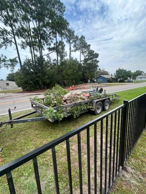 Top-rated lawn care service experts serving Youngstown, FL - D&C Affordable Lawncare