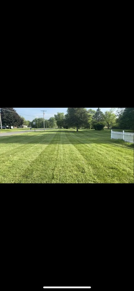 Top-rated yard cleanup service for homes across Homer, MI - D&C All Season Lawn Care