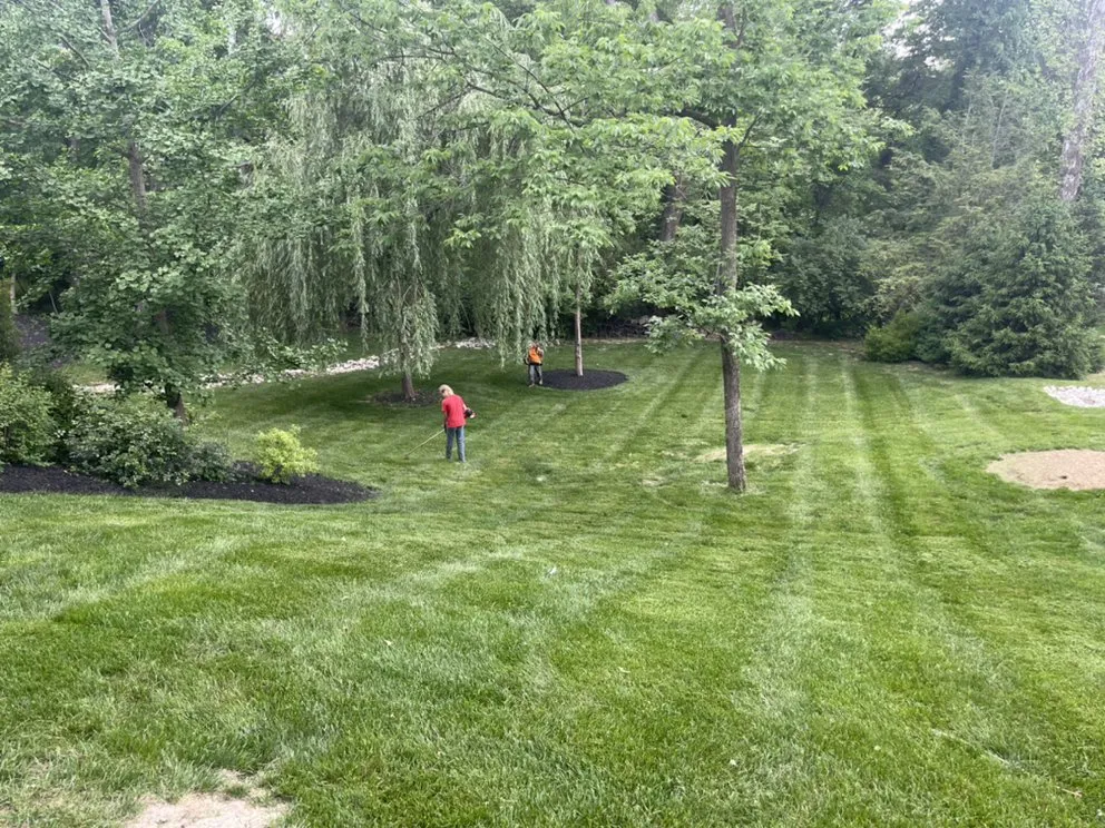 Trusted yard maintenance near you in Blackwell, MO by DC and Sons