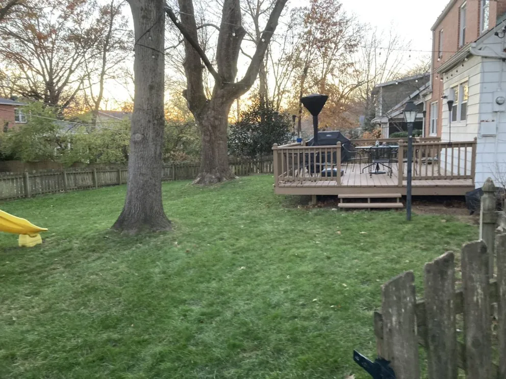 Expert lawn care service experts serving Blackwell, MO - DC and Sons