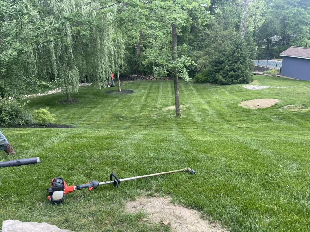 Reliable lawn mowing service in Blackwell, MO - DC and Sons