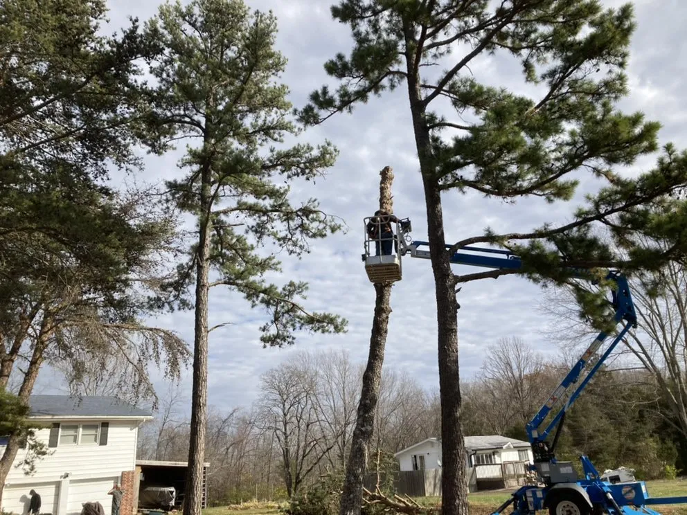 Reliable landscape installation in Blackwell, MO by DC and Sons