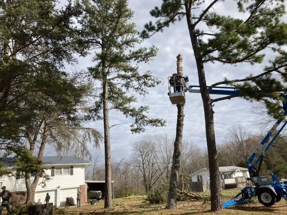 Local residential landscaping in Blackwell, MO by DC and Sons