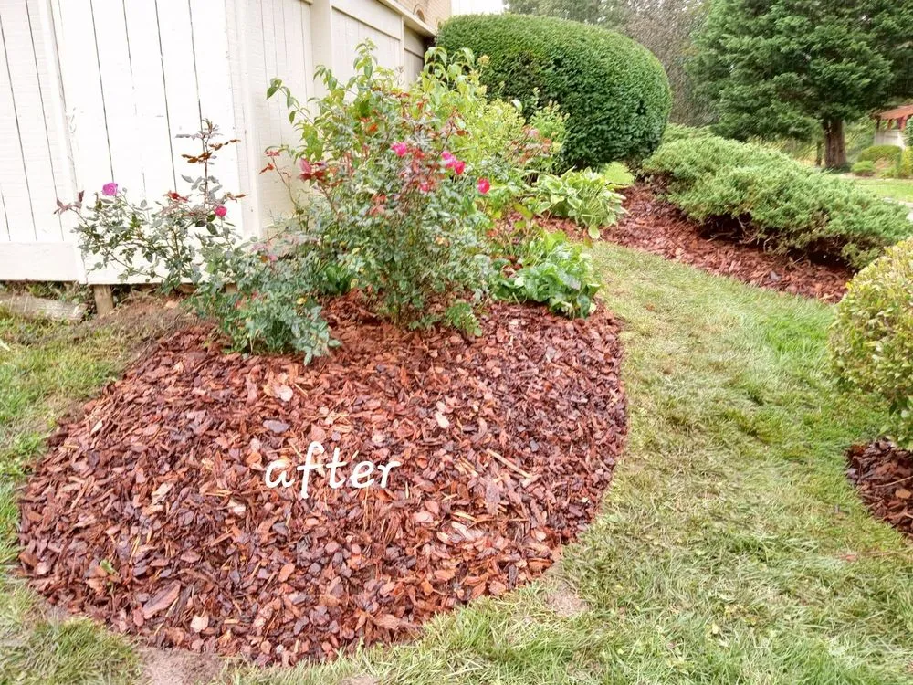 Trusted yard cleanup service in Germantown, MD - DC Ayala Landscaping Service