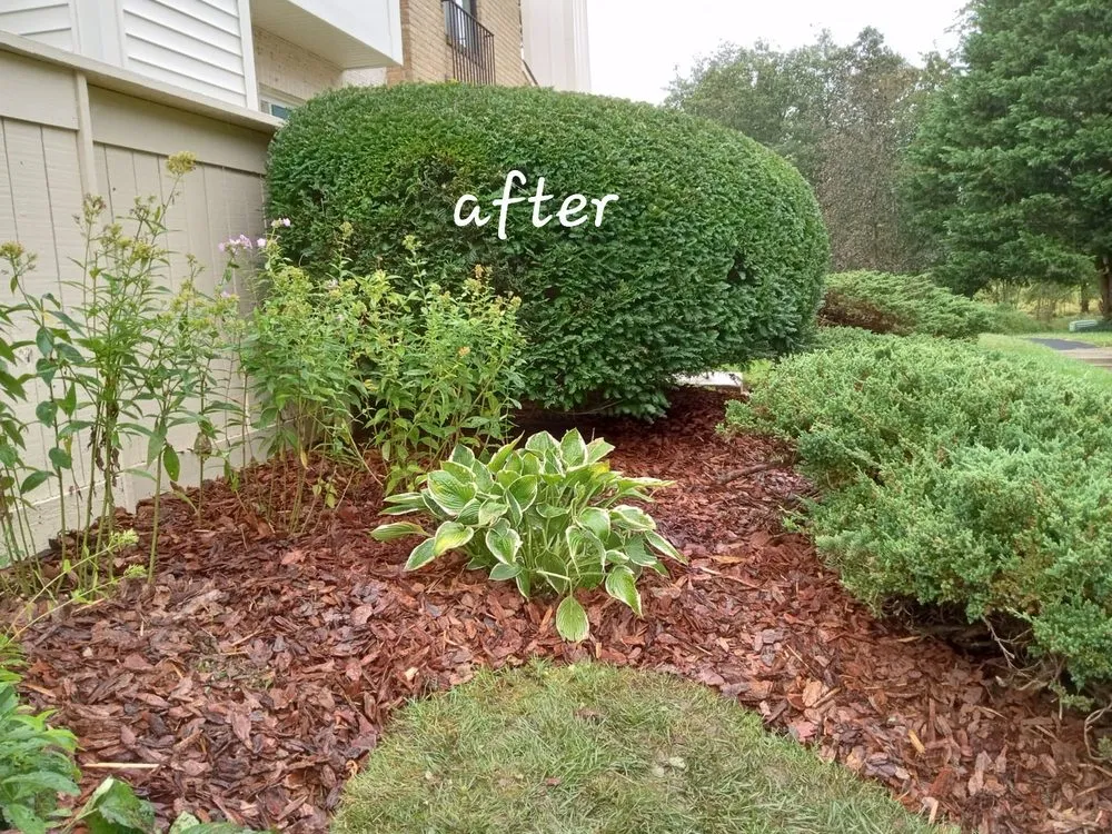 Trusted yard maintenance for year-round maintenance in Germantown, MD by DC Ayala Landscaping Service