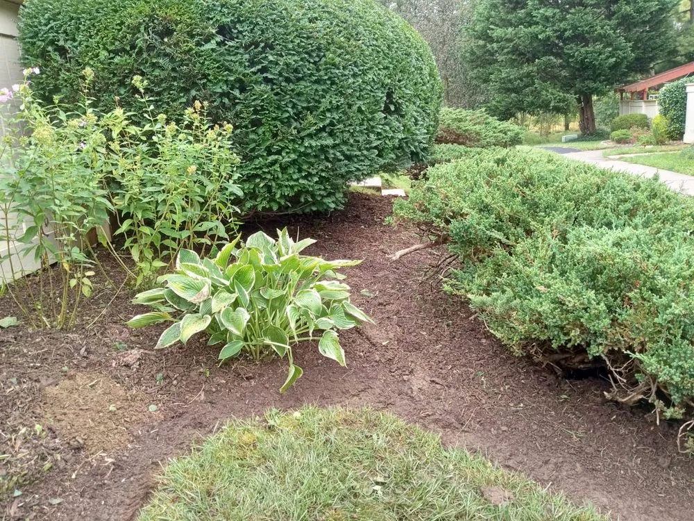 Local lawn care service with custom design in Germantown, MD by DC Ayala Landscaping Service