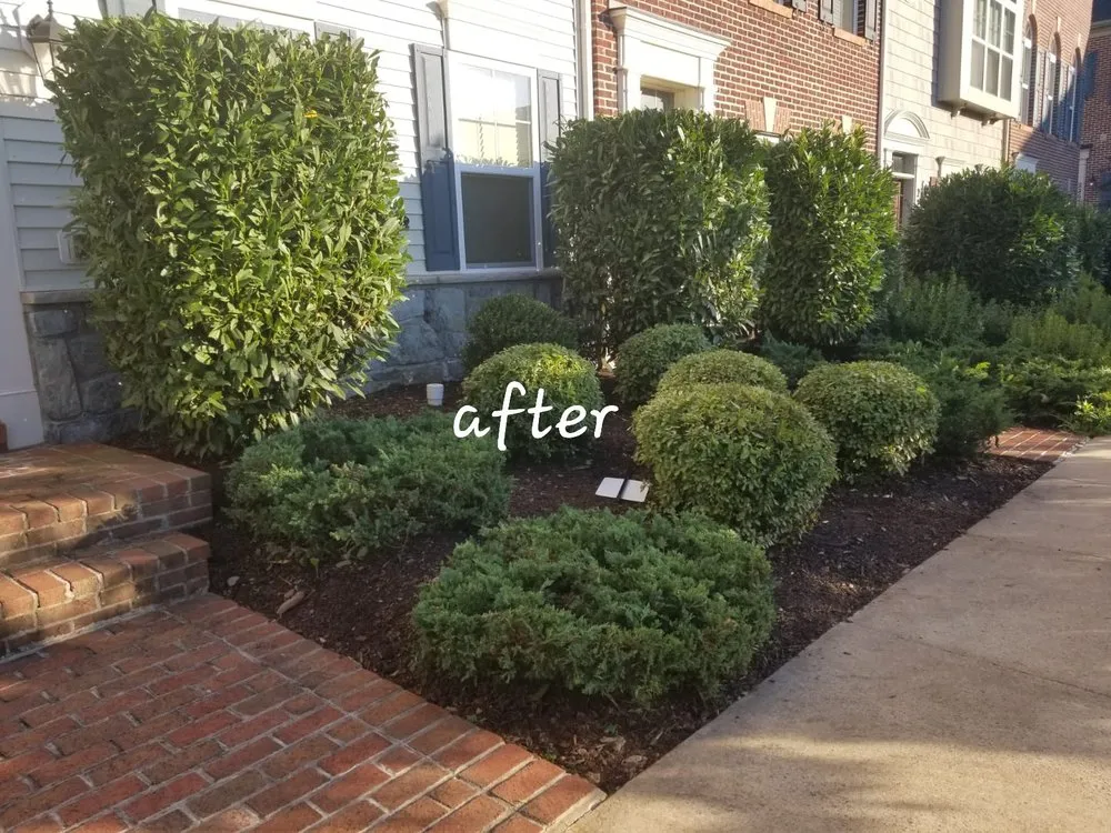 Reliable landscaping services experts serving Germantown, MD - DC Ayala Landscaping Service