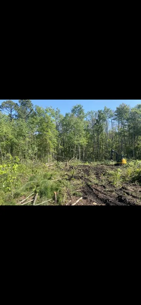 Local lawn mowing service in Jacksonville, FL - DC Construction and Landscaping