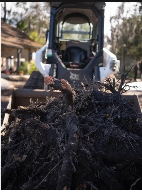 Affordable residential landscaping experts serving Jacksonville, FL - DC Construction and Landscaping