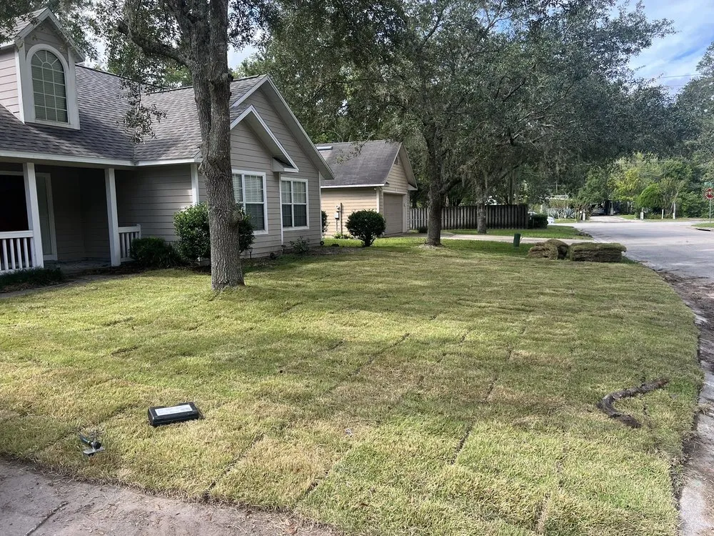 Top-rated yard cleanup service in Jacksonville, FL - DC Construction and Landscaping