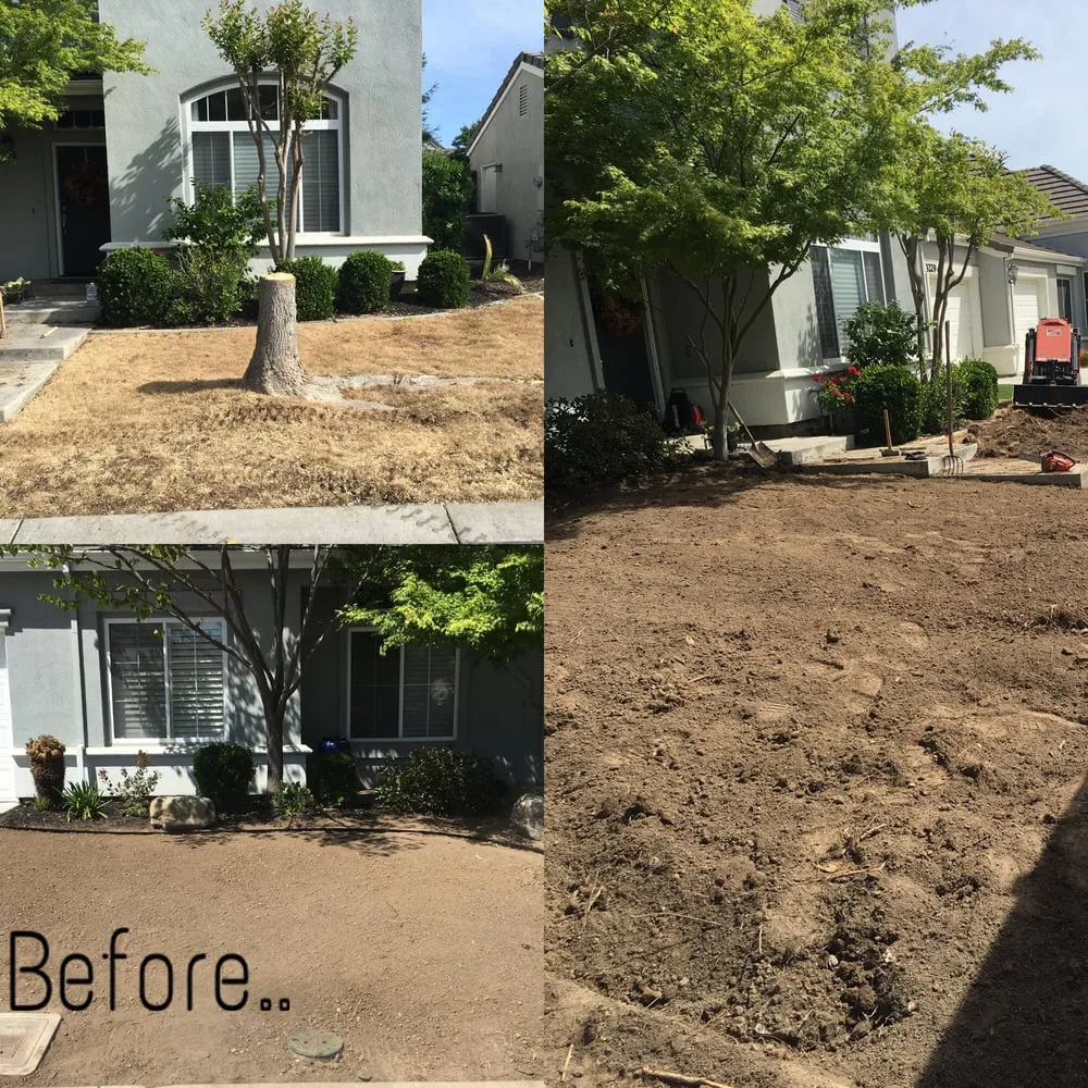 Top-rated yard maintenance experts serving Oakdale, CA - DC Custom Landscaping