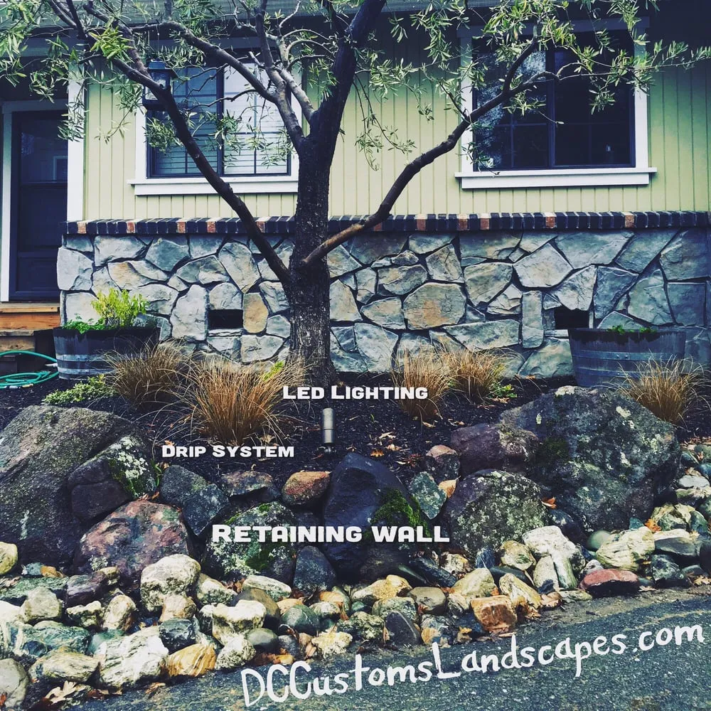Affordable yard maintenance experts serving Oakdale, CA - DC Custom Landscaping
