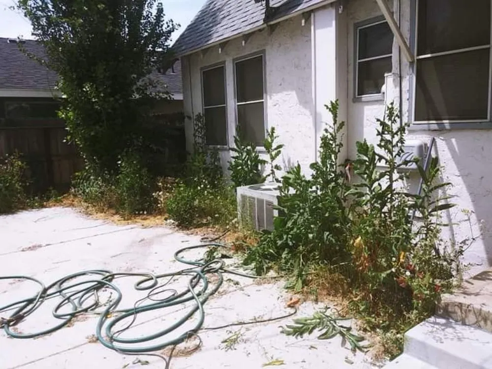 Expert lawn mowing service for homes in Fresno, CA by DC Demolition Junk Removal Landscaping An More