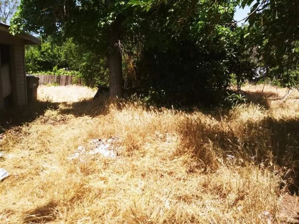 Affordable garden landscaping experts serving Fresno, CA - DC Demolition Junk Removal Landscaping An More