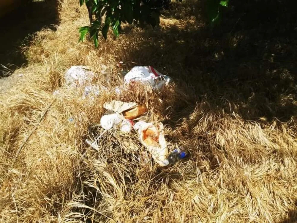 Affordable yard cleanup service in Fresno, CA - DC Demolition Junk Removal Landscaping An More