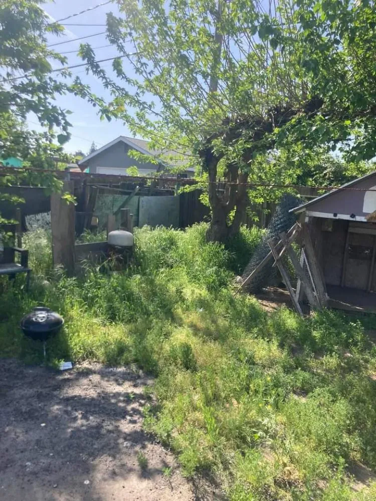 Local outdoor landscaping in Fresno, CA - DC Demolition Junk Removal Landscaping An More