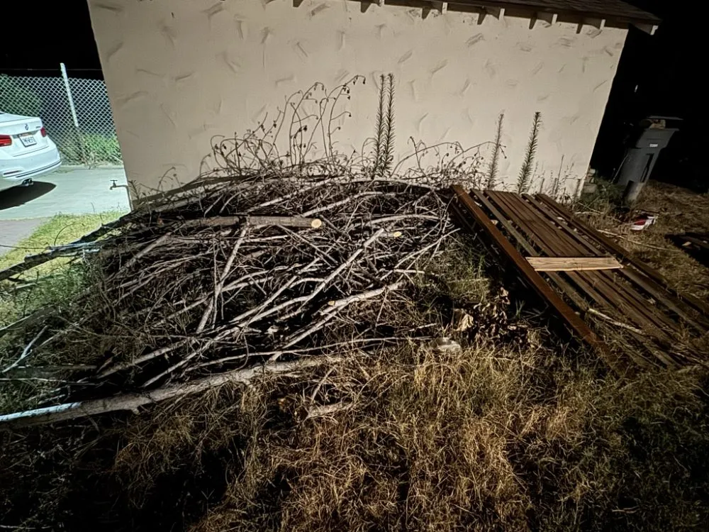 Trusted yard cleanup service in Fresno, CA by DC Demolition Junk Removal Landscaping An More