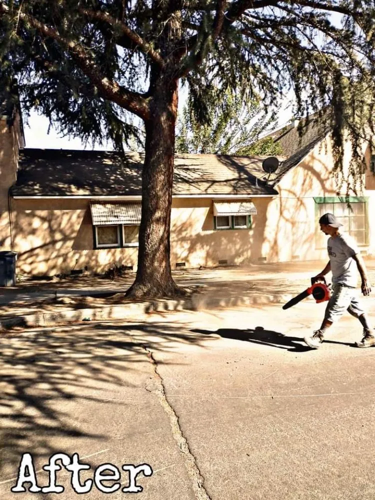 Local residential landscaping in Fresno, CA by DC Demolition Junk Removal Landscaping An More