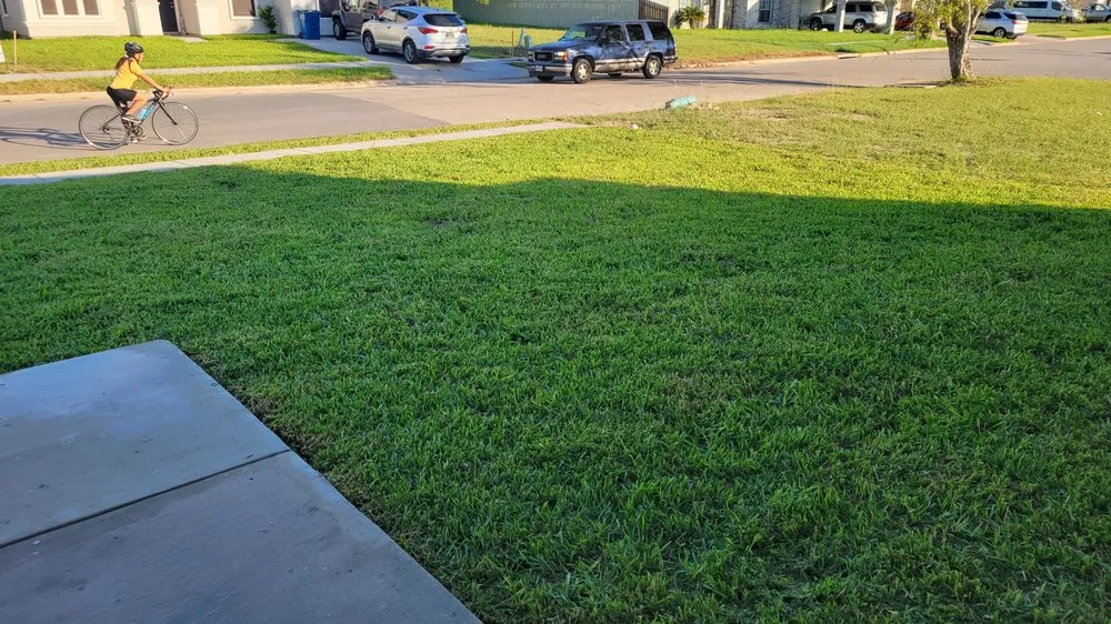 Expert lawn mowing service for year-round maintenance across Brownsville, TX - DC Elite Lawn Care