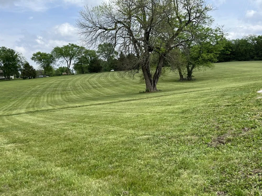 Local landscaping services experts serving Freeman, MO - DC exterior services