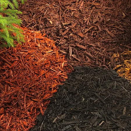 Local landscape design in Holley, NY - DC Hauling Excavating & Gravel Driveway Specialists