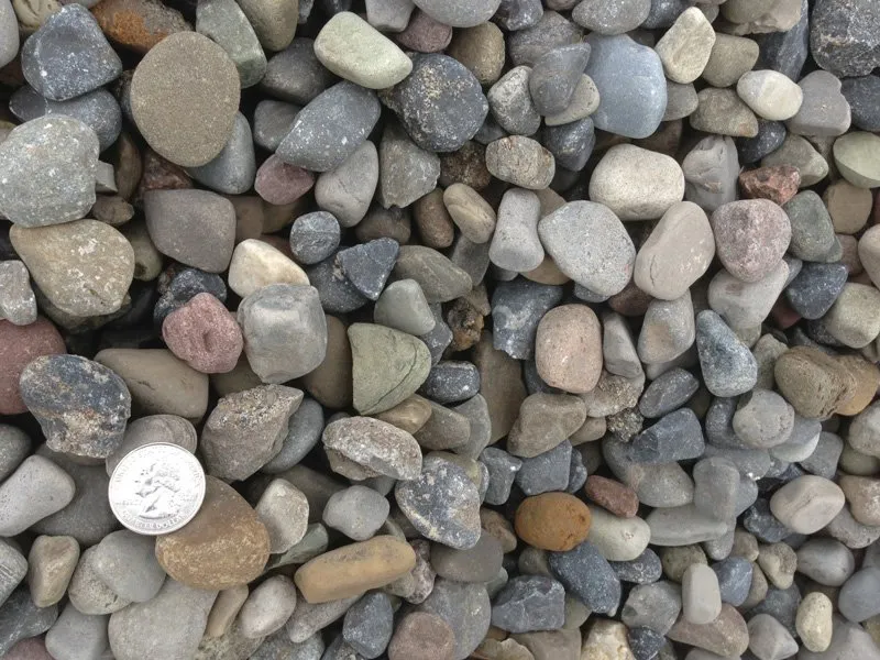 Professional yard cleanup service experts serving Holley, NY - DC Hauling Excavating & Gravel Driveway Specialists