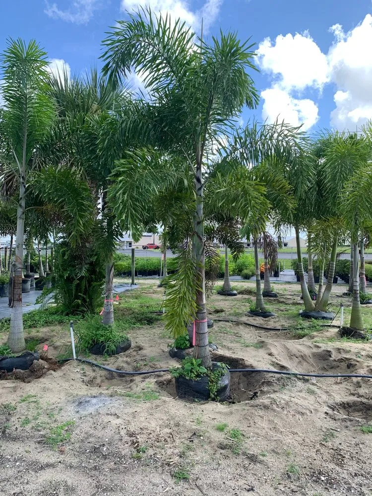 Trusted residential landscaping in Lake Placid, FL - DC Irrigation