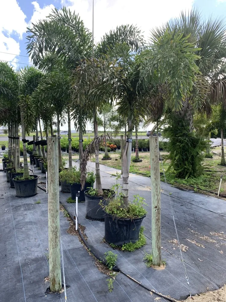 Trusted residential landscaping for beautiful yards in Lake Placid, FL by DC Irrigation