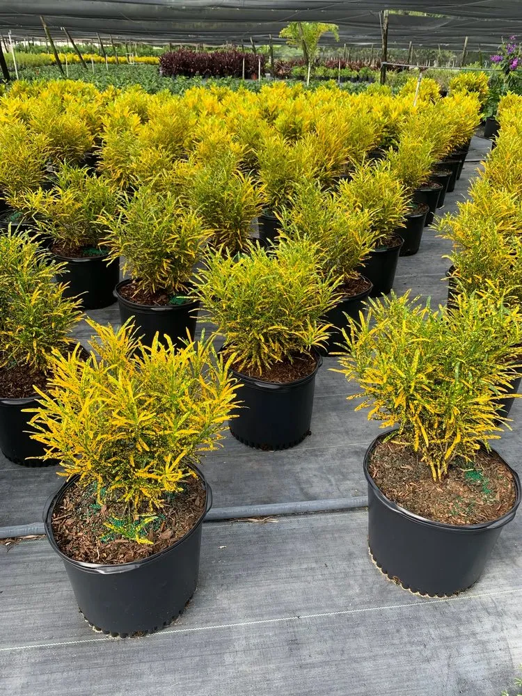 Local garden landscaping for year-round maintenance in Lake Placid, FL by DC Irrigation